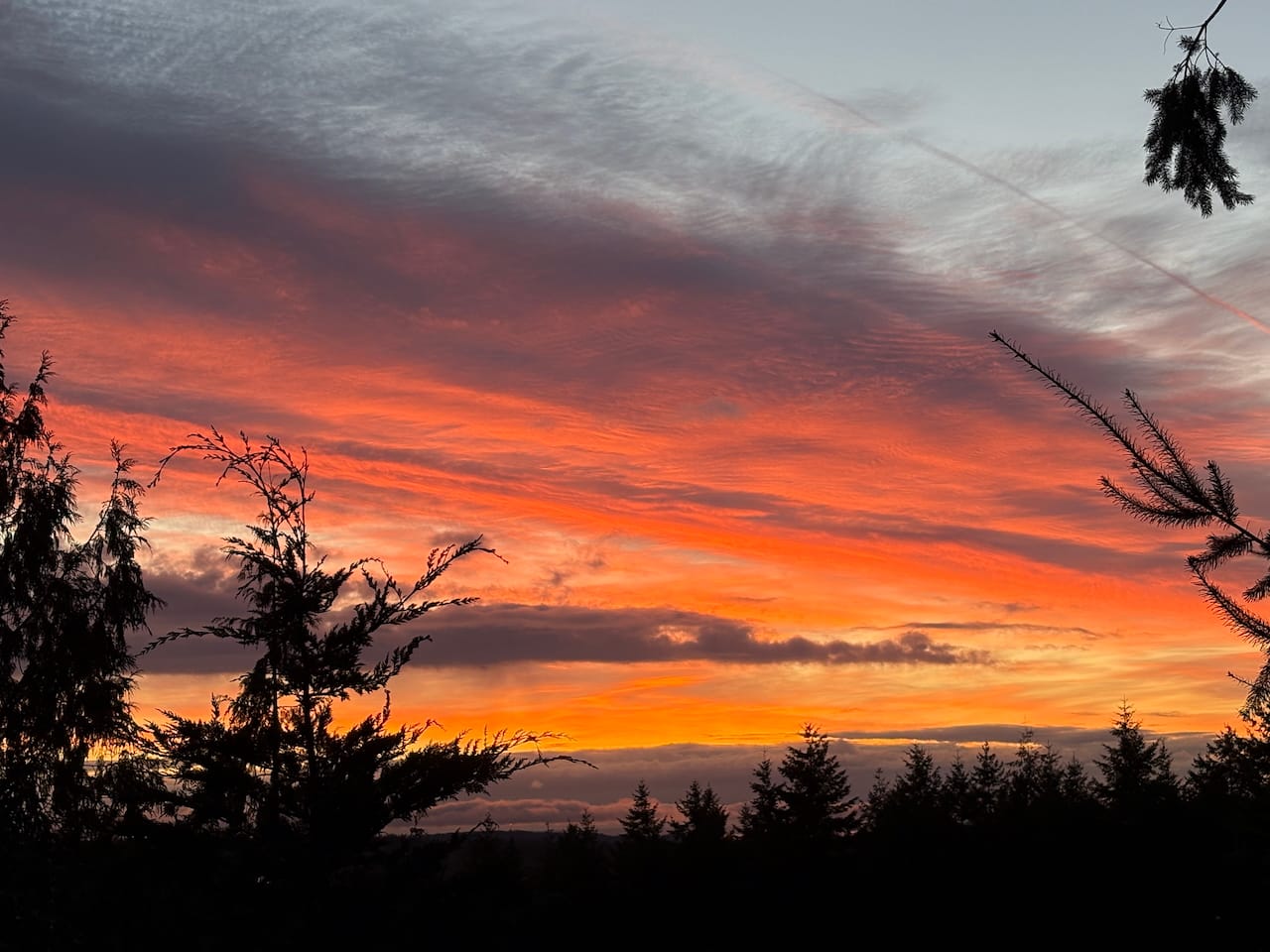 Following the Longing