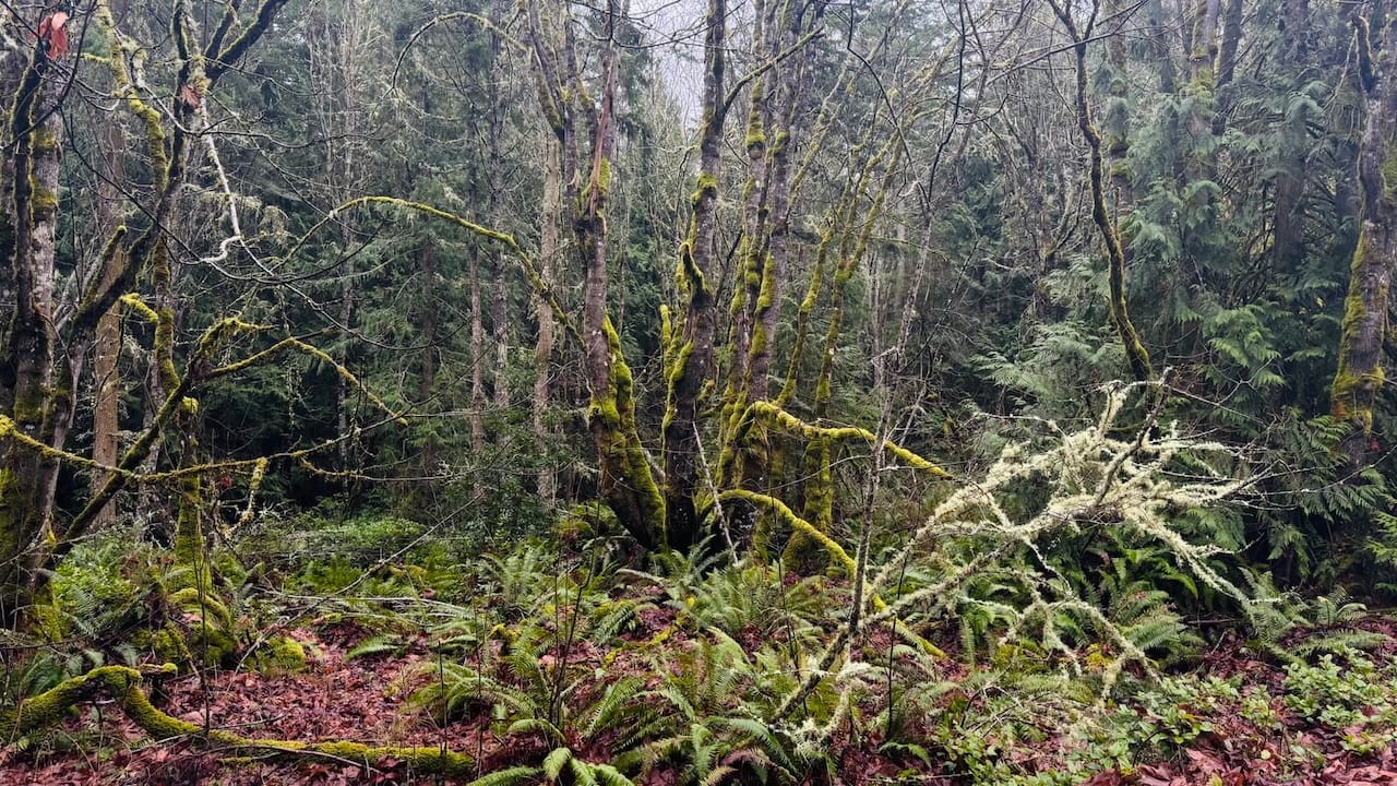 10 Things That Brought Me Joy This Week