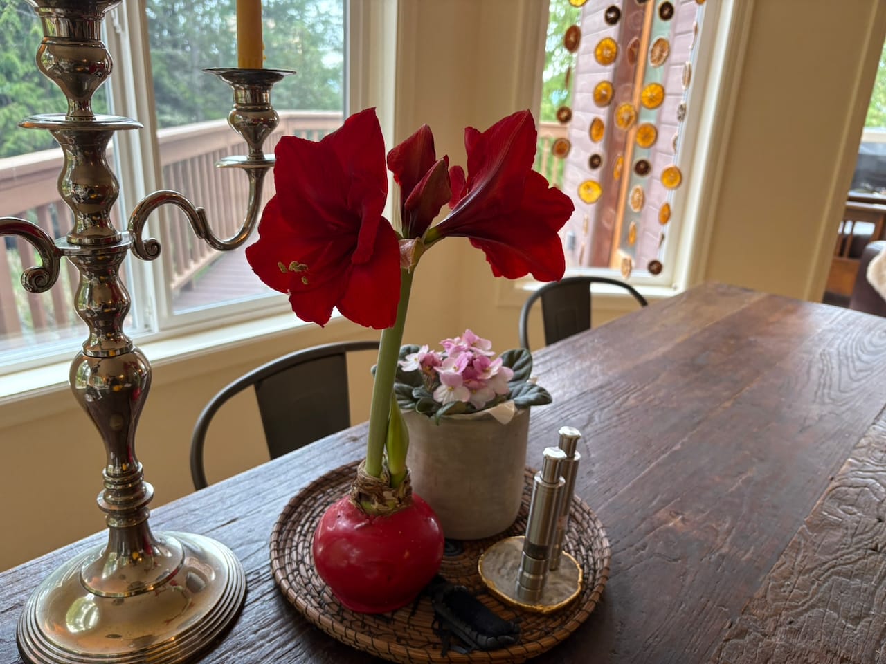 The Respite of Blossom Time