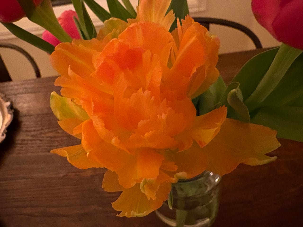 When the Light Shines Through