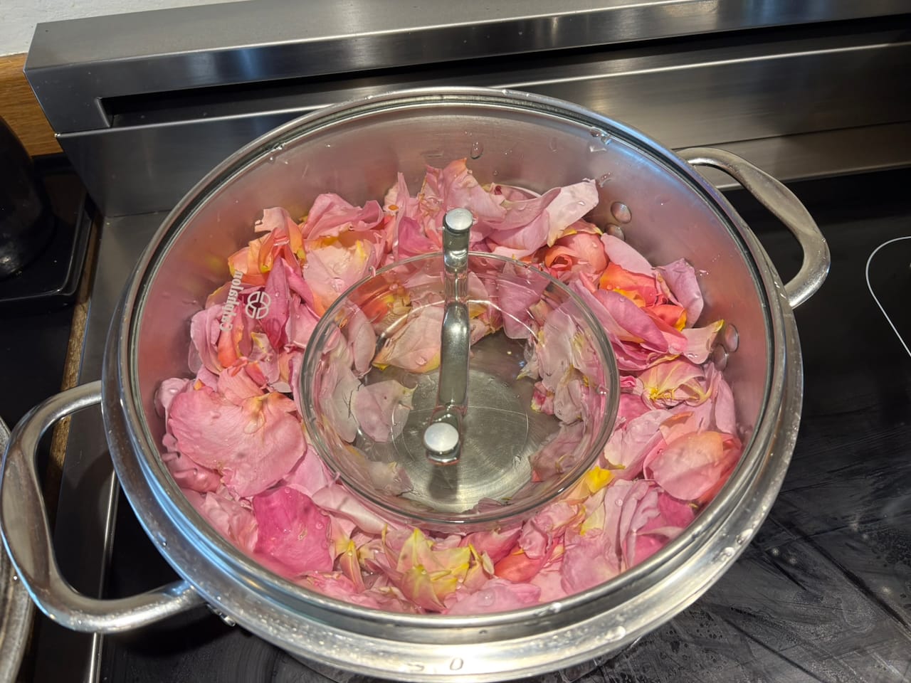 Everything is Coming up Roses